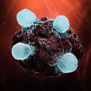 White Blood Cell Image